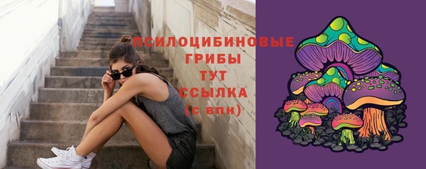 индика Строитель