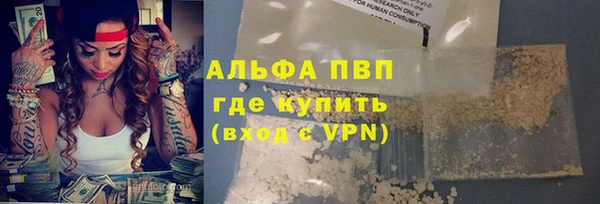 прущие грибы Ступино