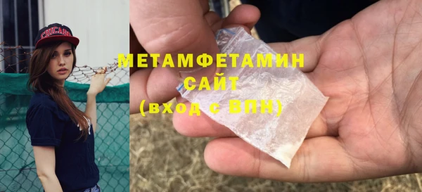прущие грибы Ступино