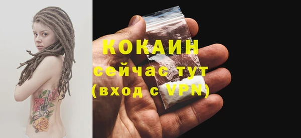 прущие грибы Ступино