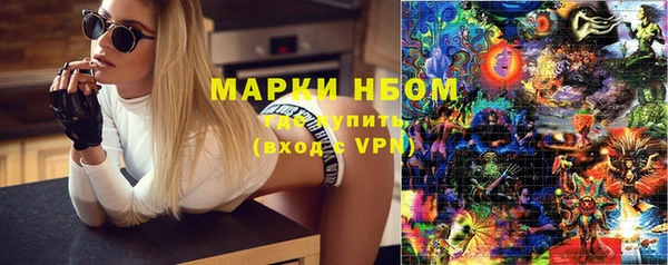 прущие грибы Ступино