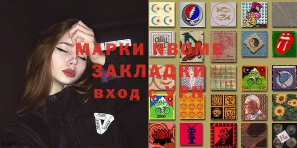 прущие грибы Ступино
