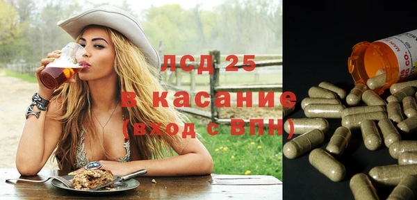 прущие грибы Ступино