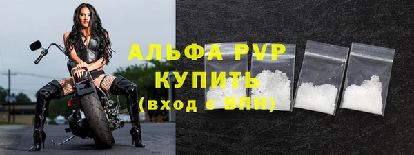 гашик Бородино