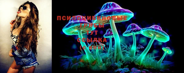 индика Строитель