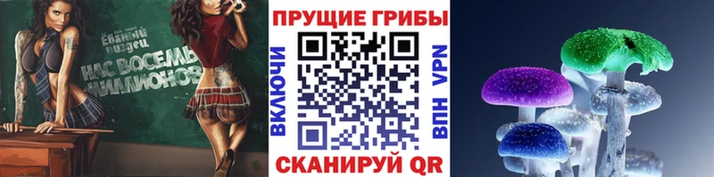 Галлюциногенные грибы Magic Shrooms  Чапаевск 