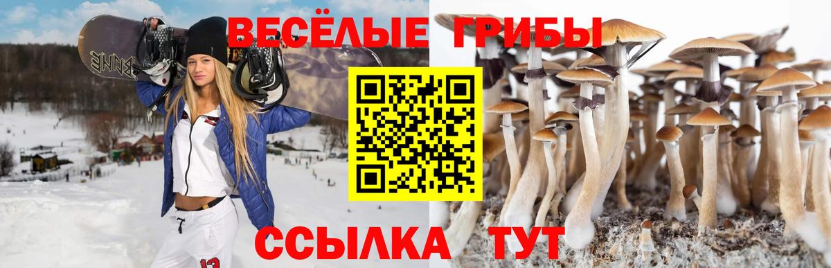 Псилоцибиновые грибы мухоморы  Чапаевск 